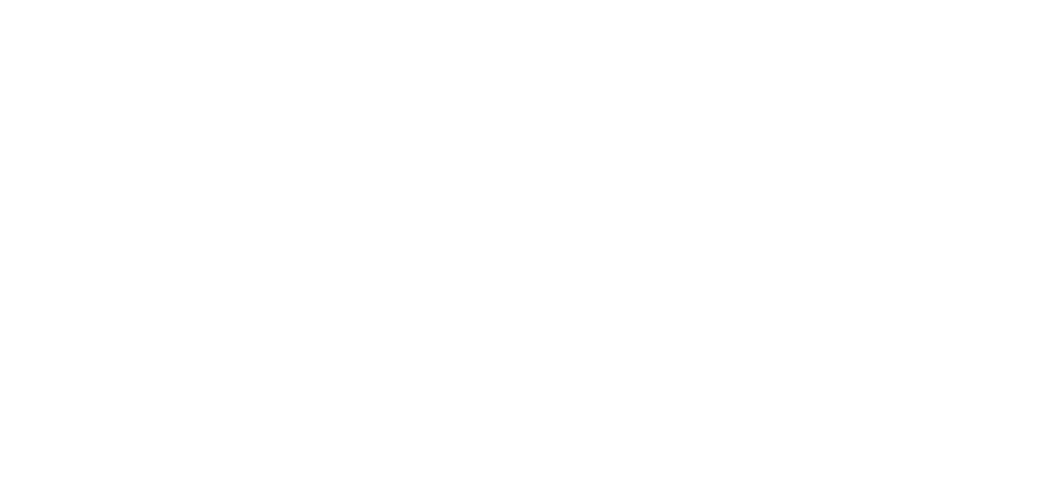 DaF Fergana logo